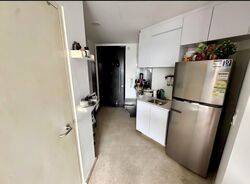 Haig 162 (D15), Apartment #546029381